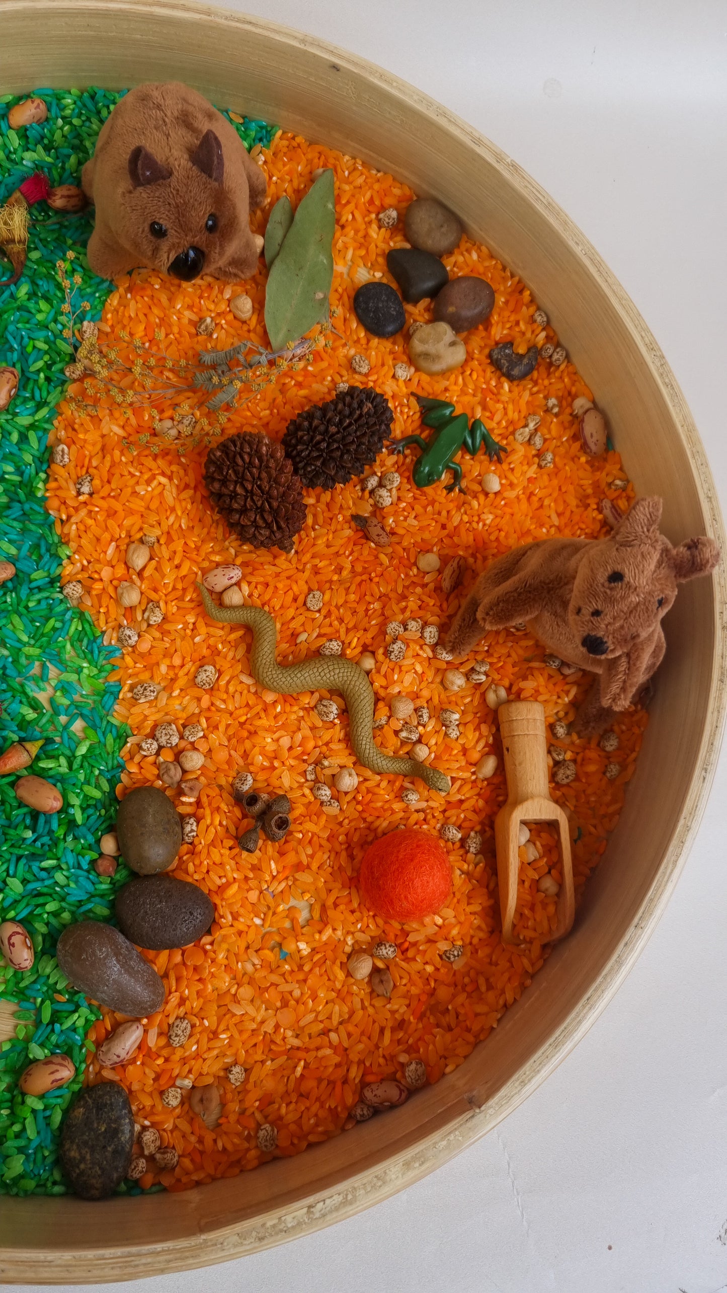 Australian Bush Sensory Kit