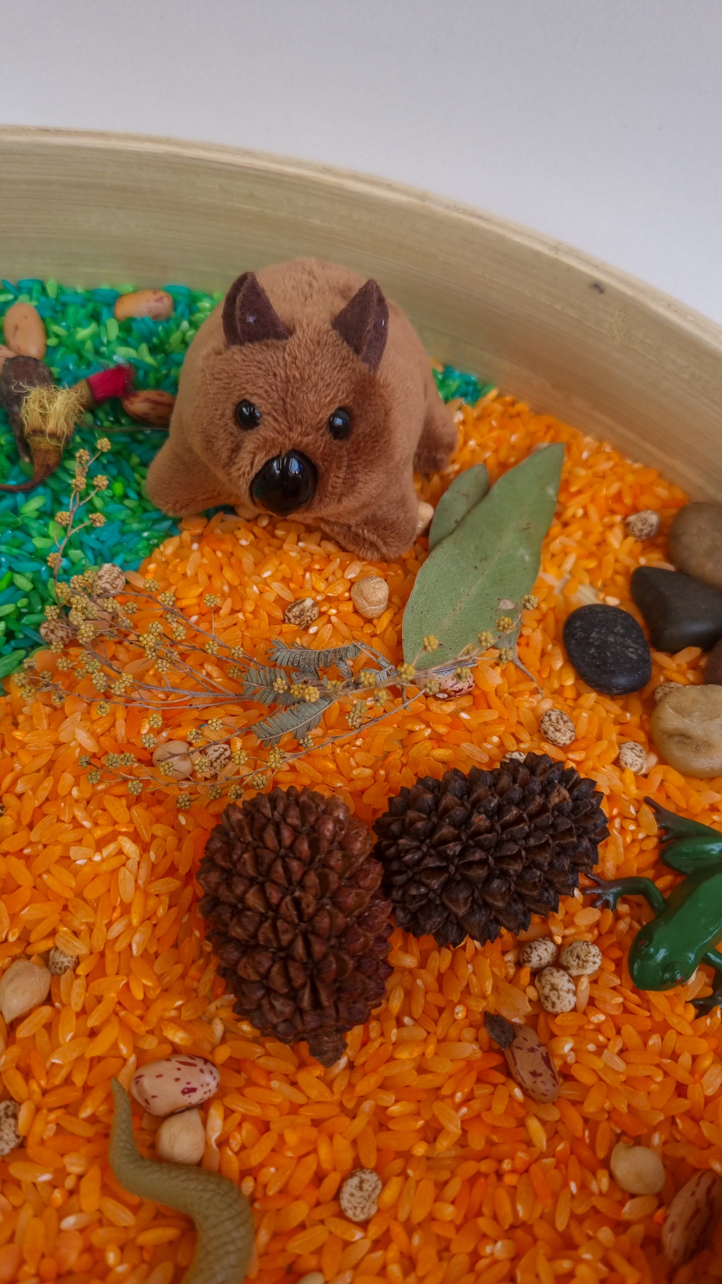 Australian Bush Sensory Kit