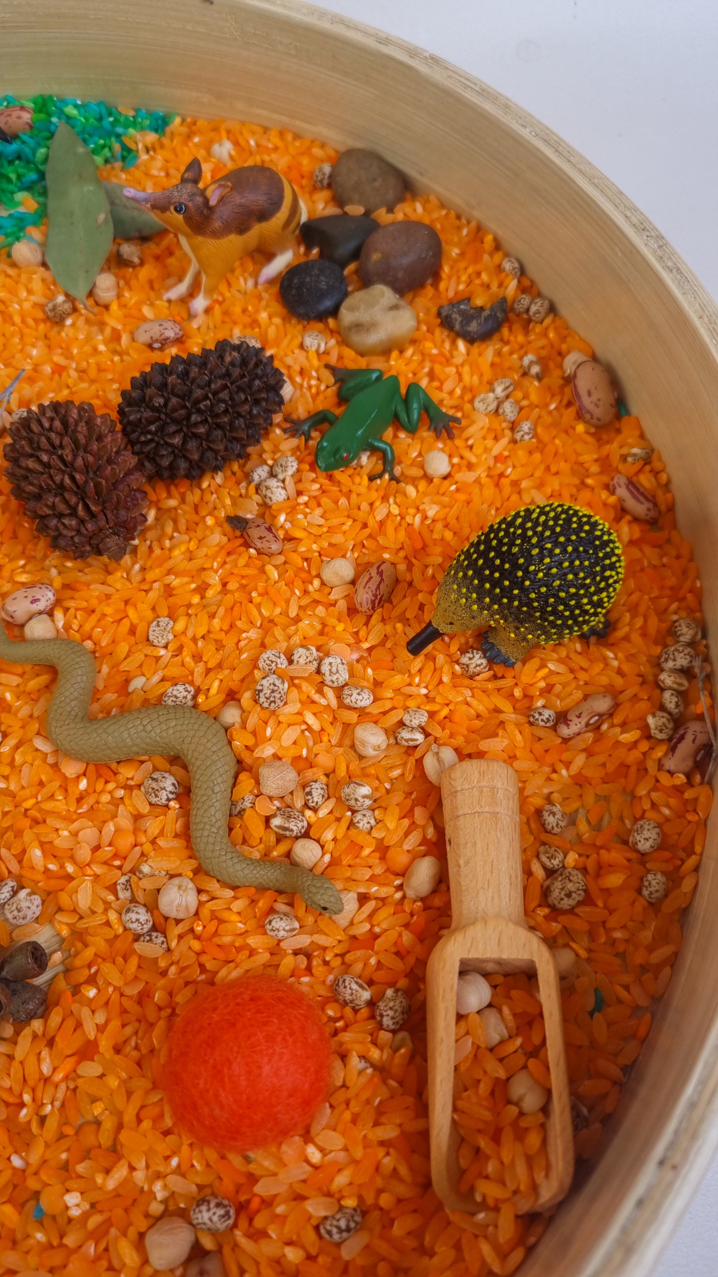 Australian Bush Sensory Kit