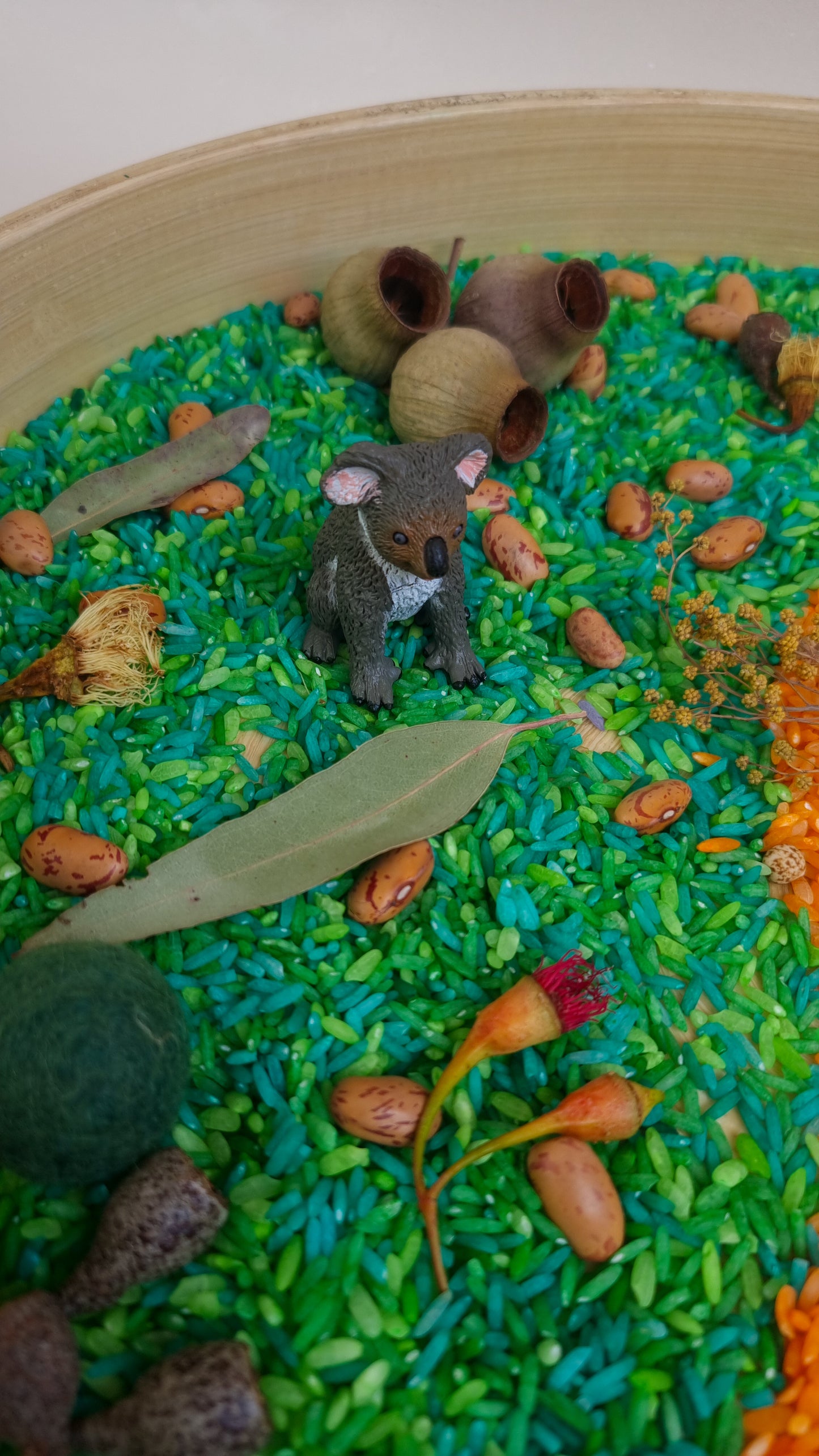 Australian Bush Sensory Kit