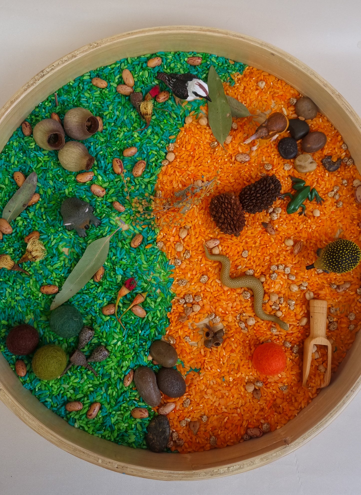 Australian Bush Sensory Kit