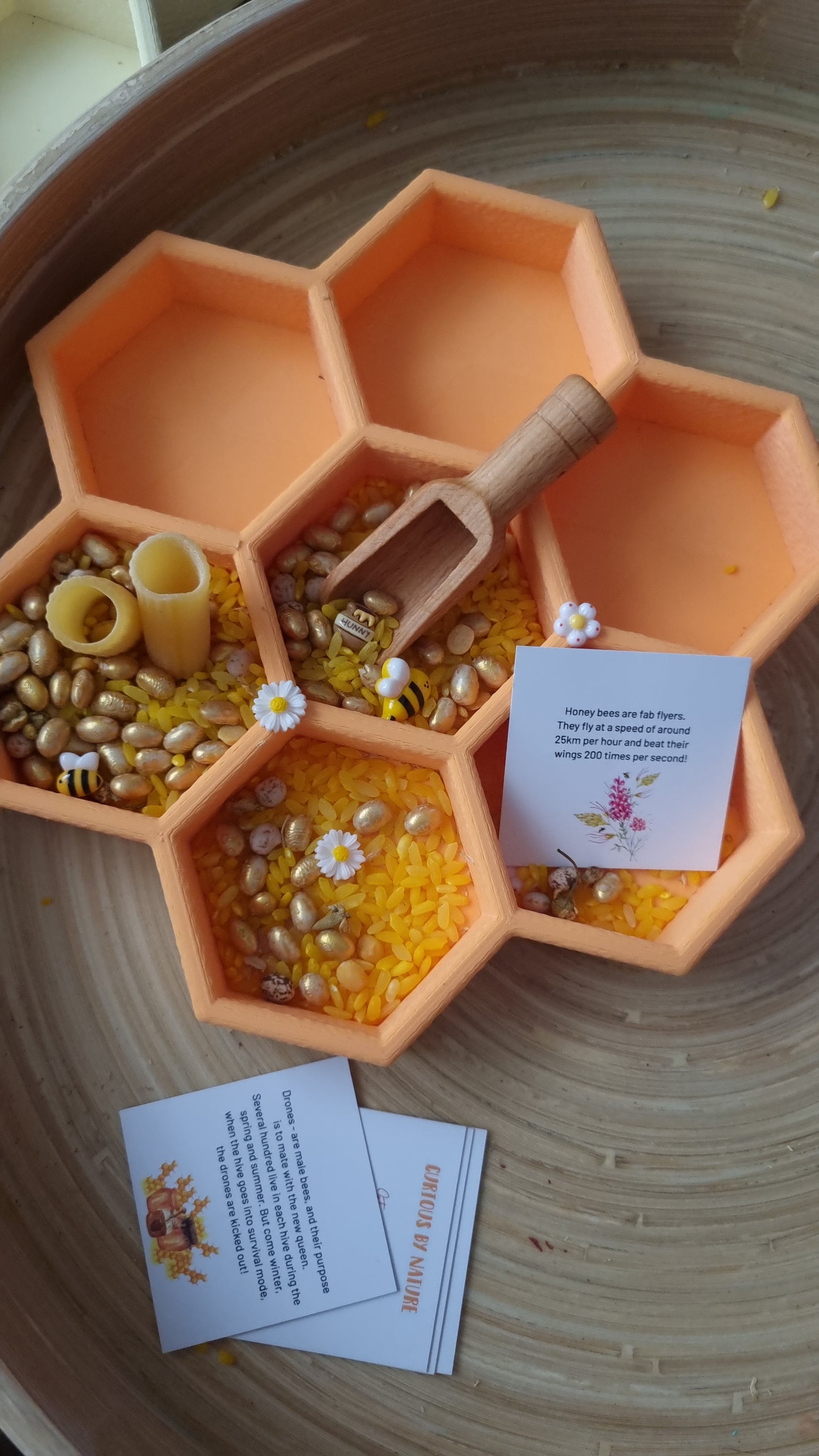 Bee Learning Resource Bundle
