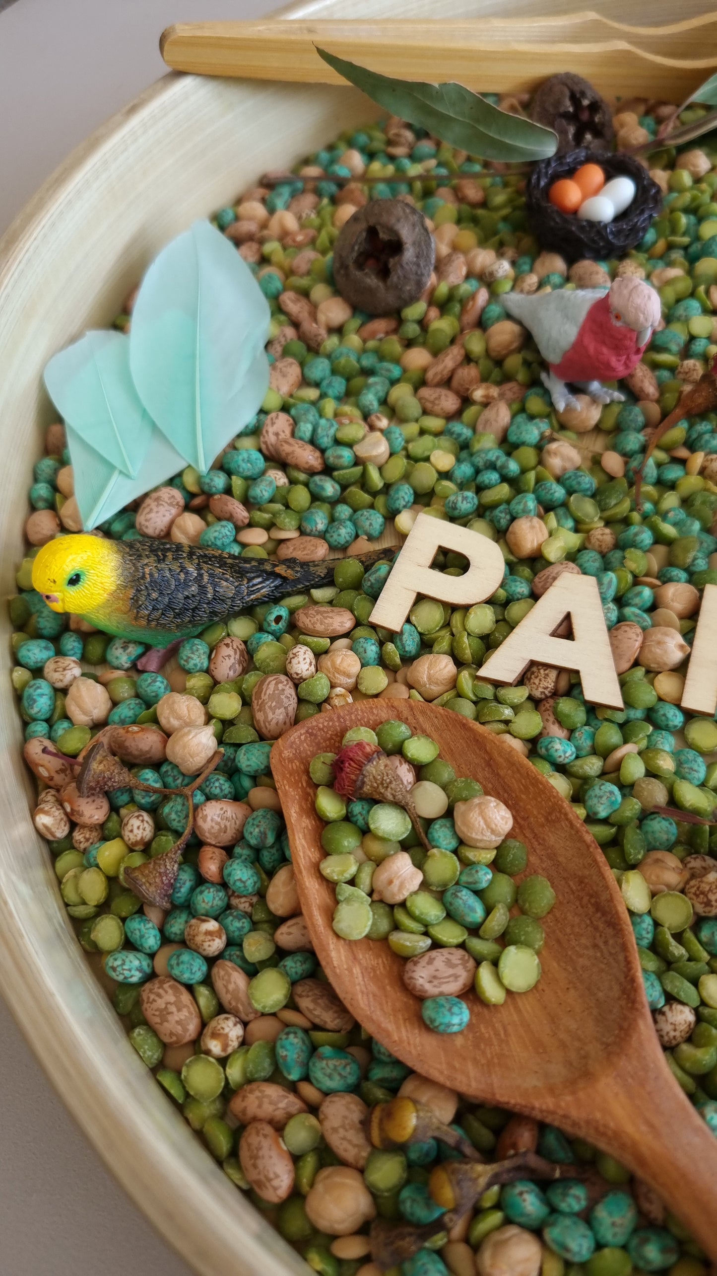Parrot Sensory Kit