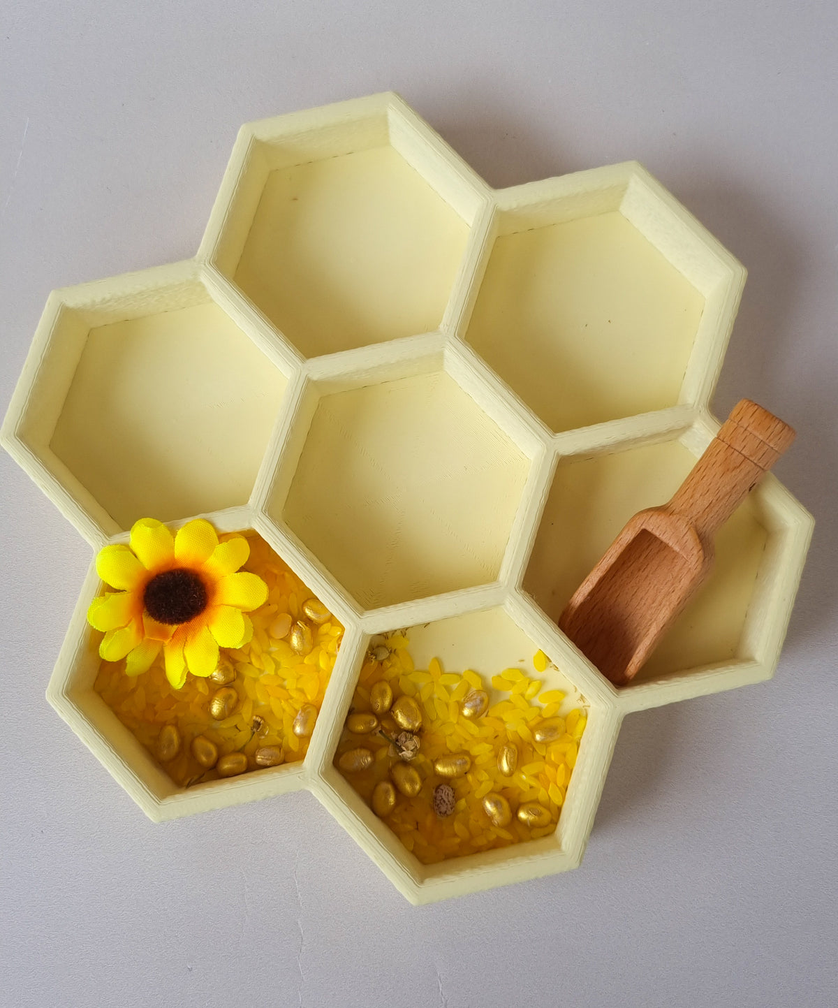 Bee Learning Resource Bundle
