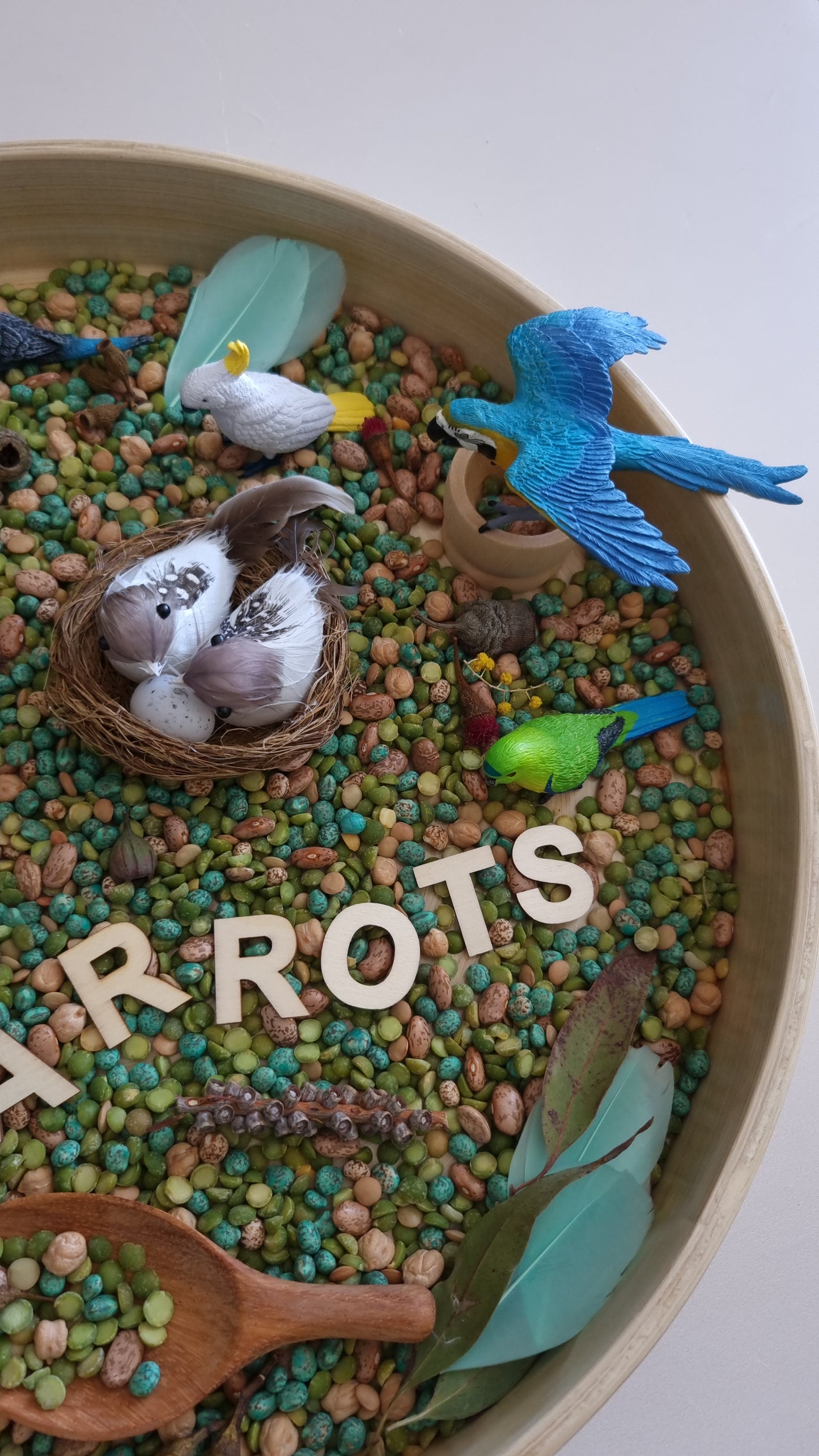 Parrot Sensory Kit