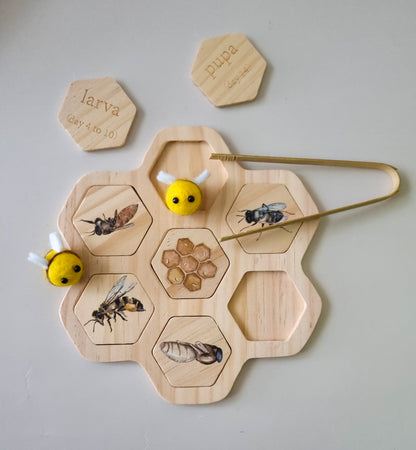 Bee Hive Sensory Kit