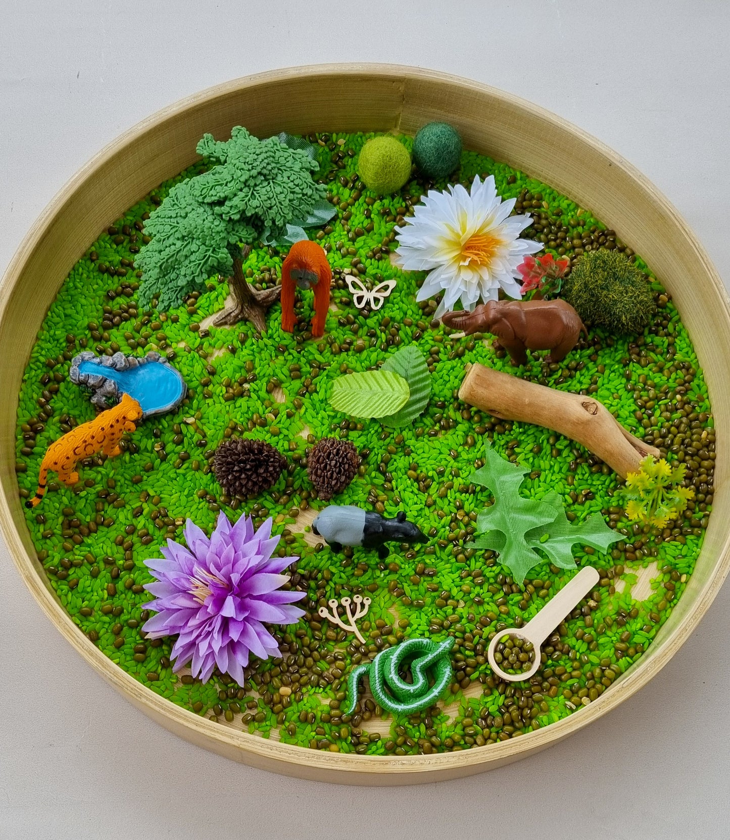 Step into the Jungle Sensory Kit