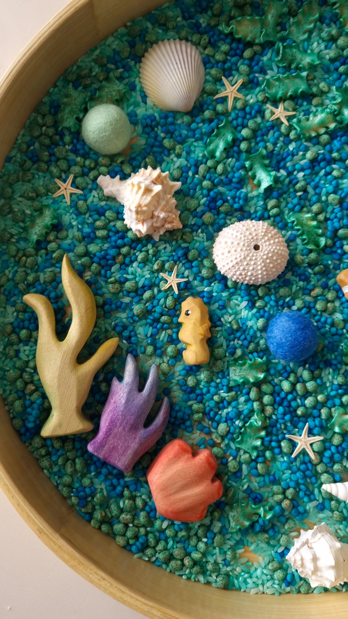 Rockpool Sensory Kit