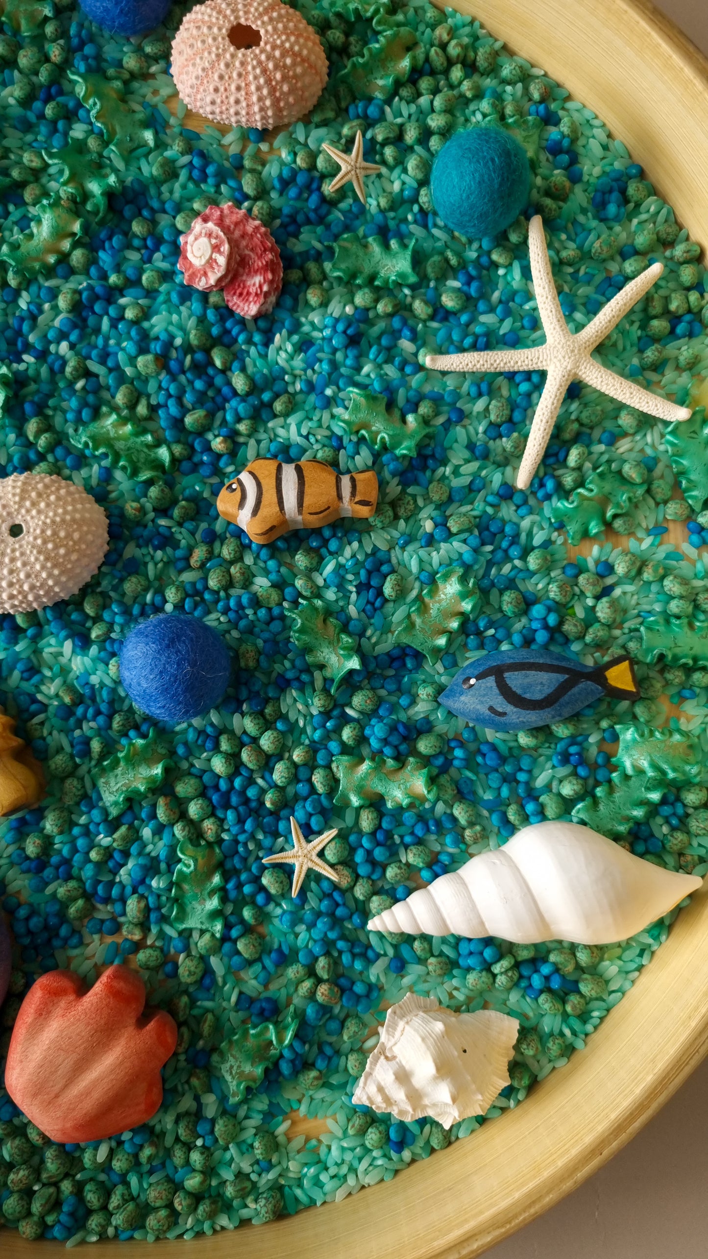 Rockpool Sensory Kit