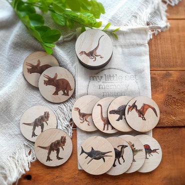 My Little Set - Dinosaur Memory Match set