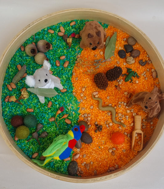 Australian Bush Sensory Kit