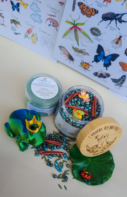 Creek learn through play bundle