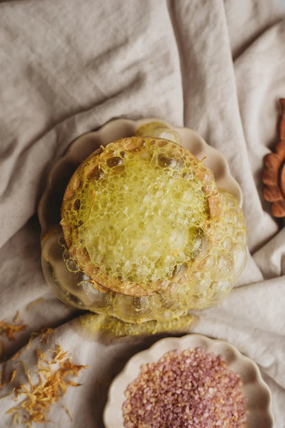 The Saltwater Collective  - Sunshine Fizz