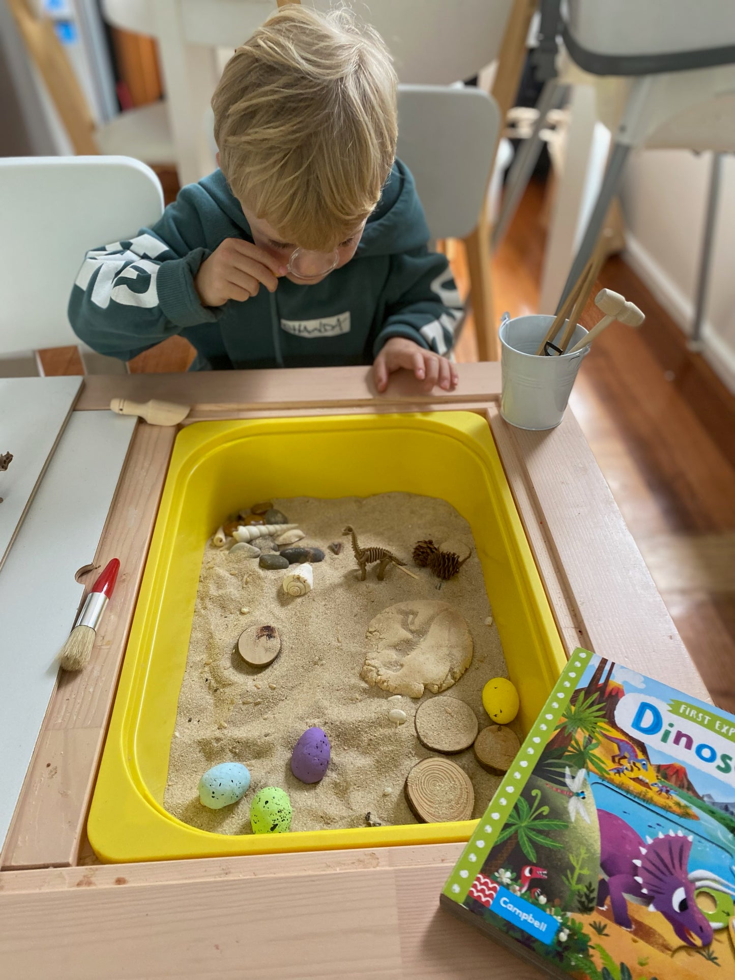 Dino Dig Sensory Kit