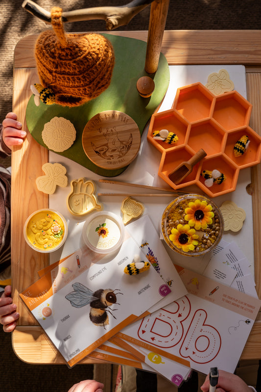 Bee Learning Resource Bundle