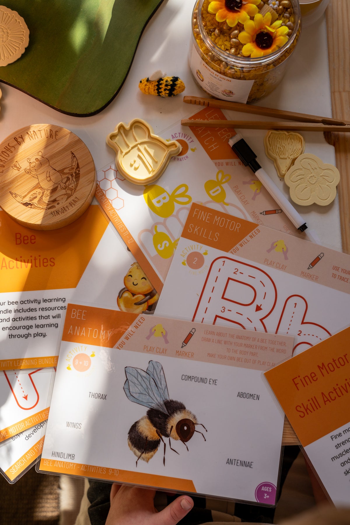 Bee Learning Resource Bundle