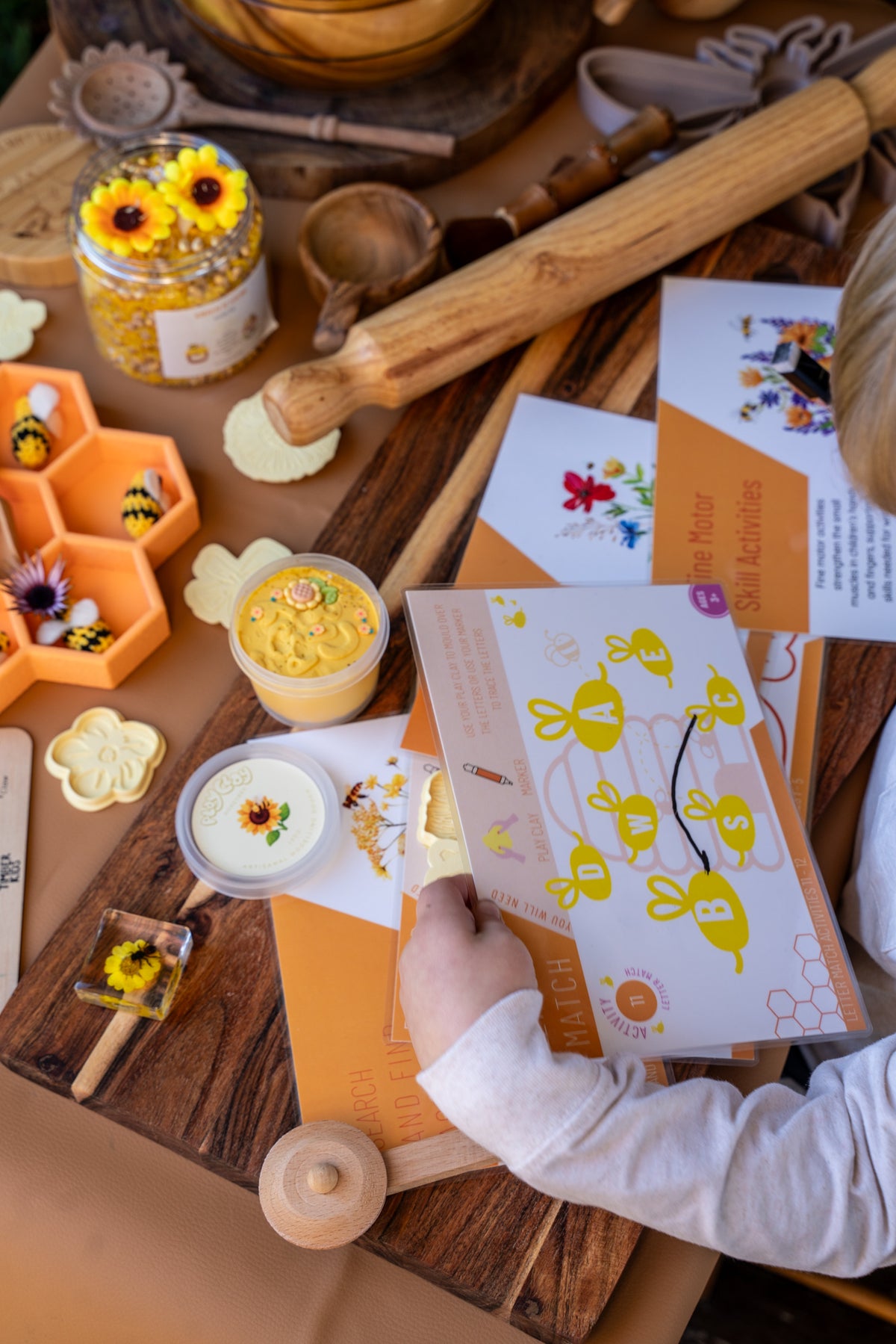Bee Learning Resource Bundle