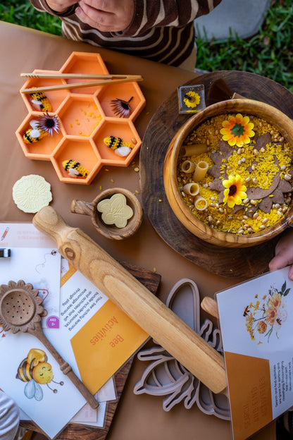 Bee Learning Resource Bundle