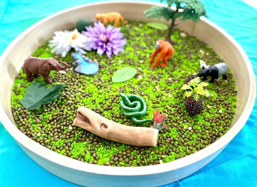 Step into the Jungle Sensory Kit