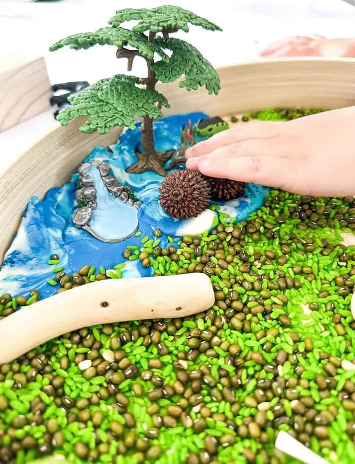 Step into the Jungle Sensory Kit