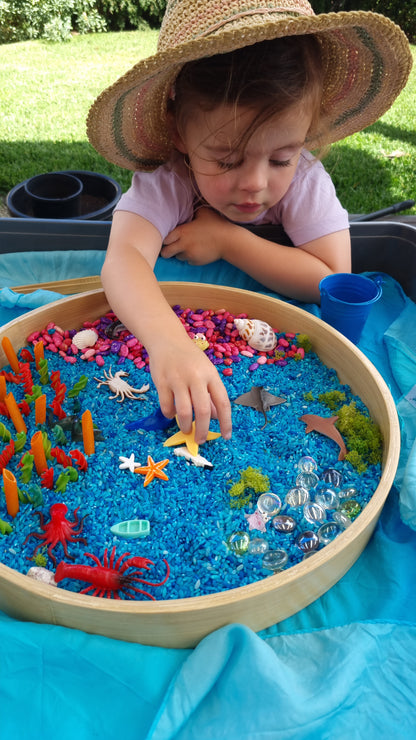 Ocean Sensory Kit