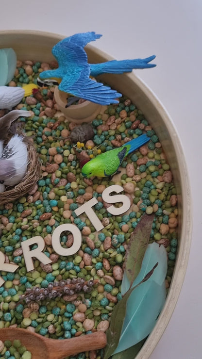 Parrot Sensory Kit