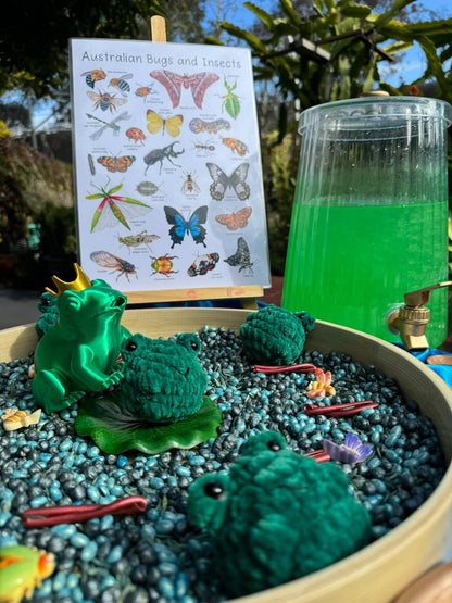 Creek sensory base
