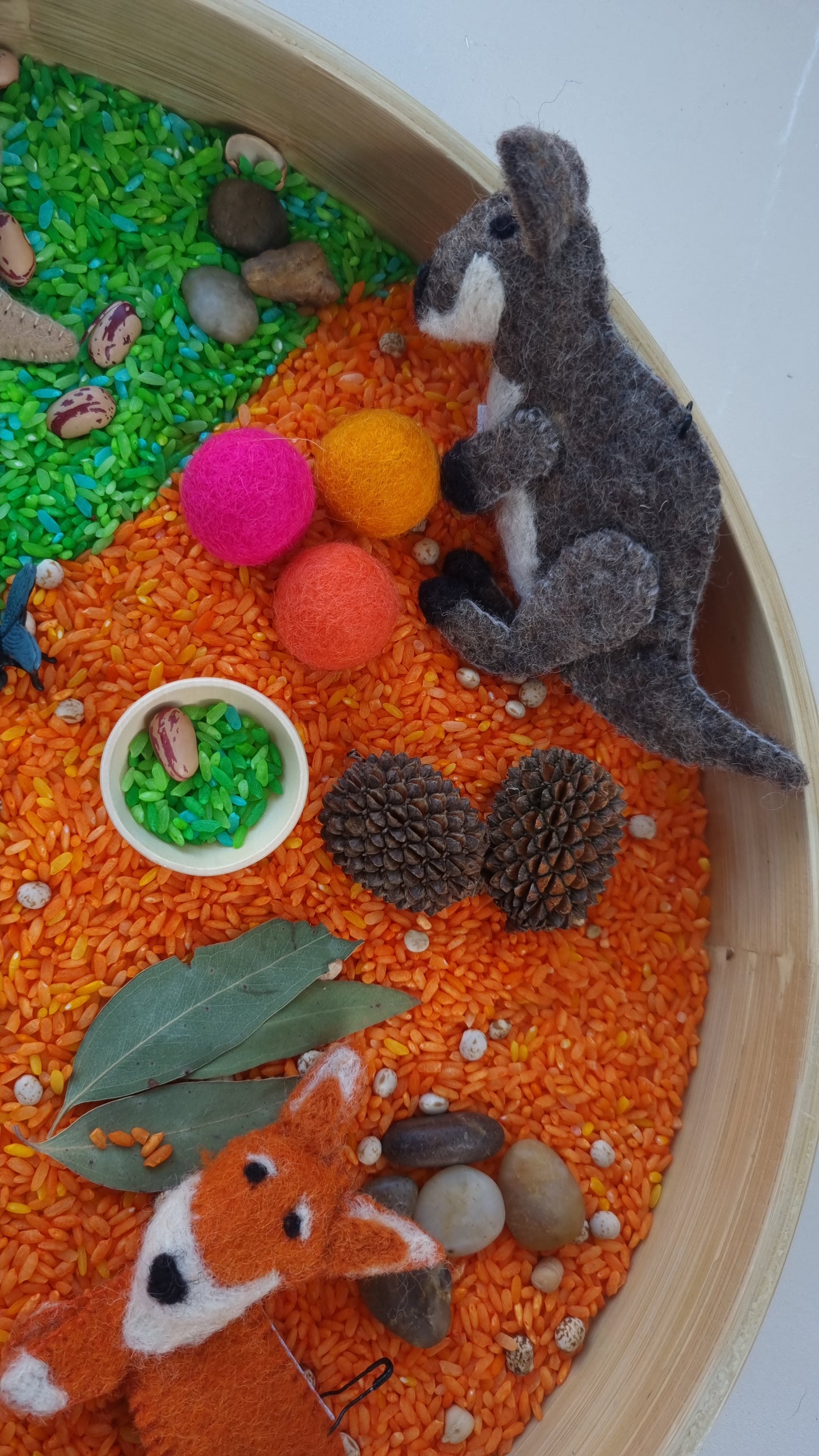 Australian Bush Sensory Kit