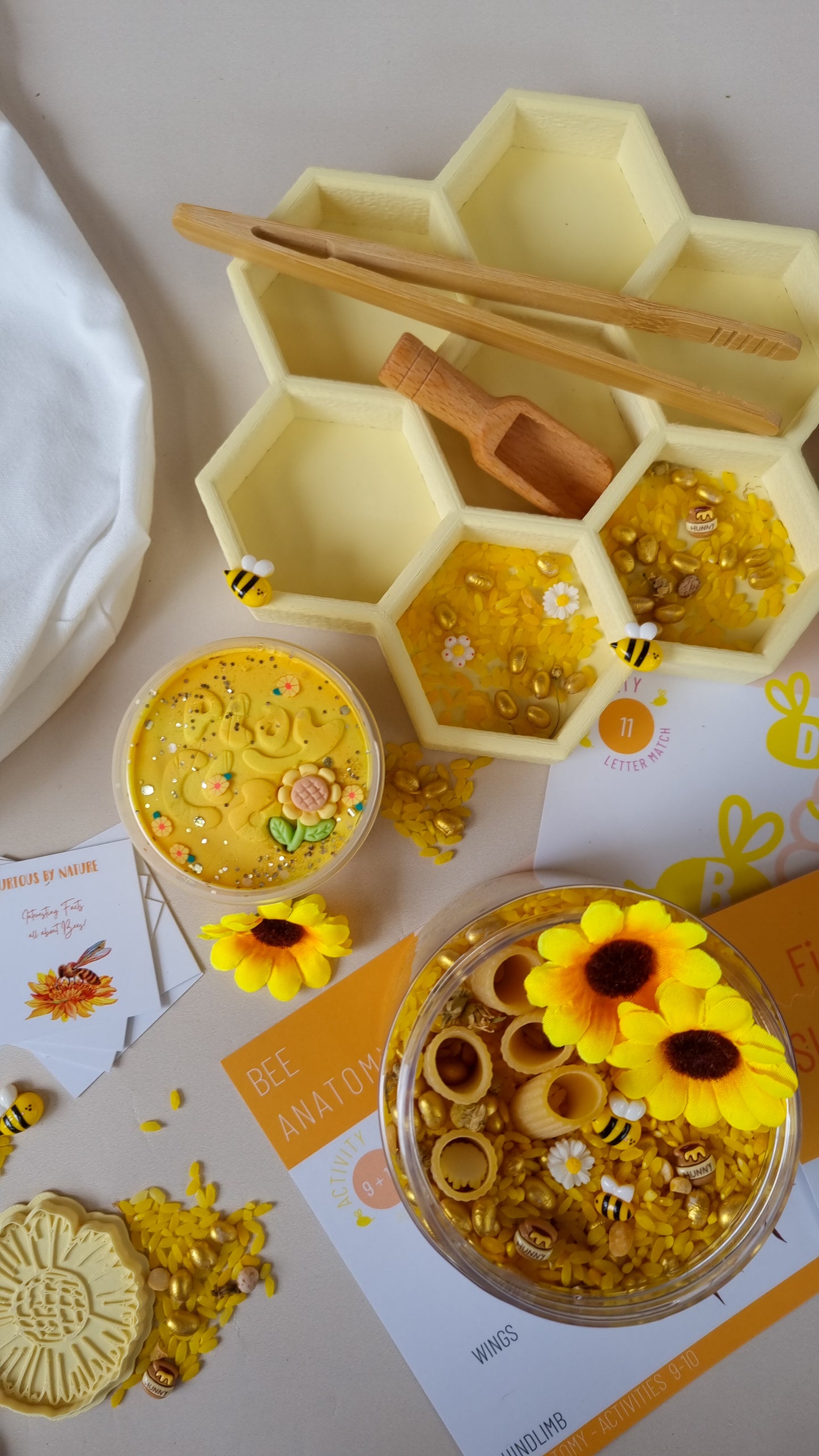 Bee Learning Resource Bundle