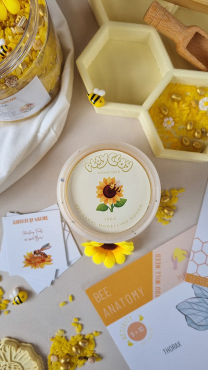 Bee Learning Resource Bundle