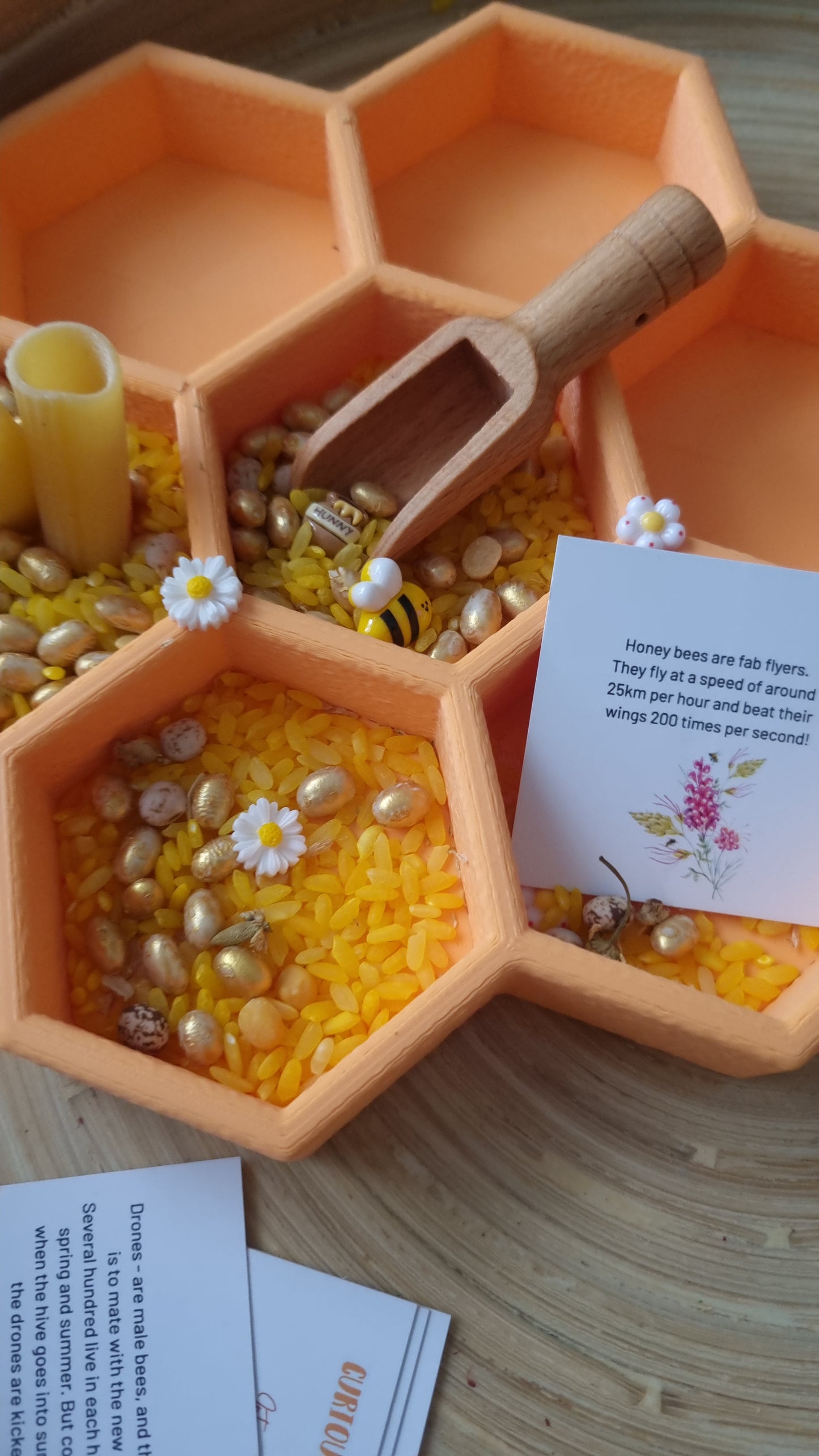 Bee Learning Resource Bundle