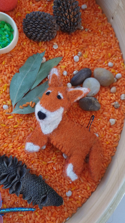 Australian Bush Sensory Kit