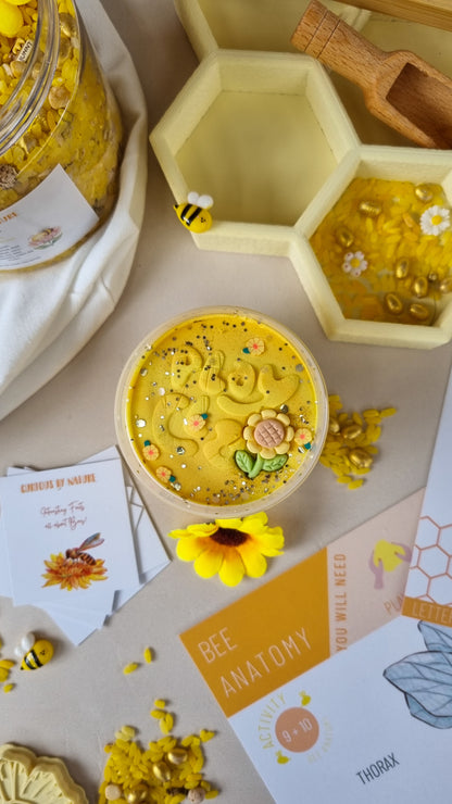 Bee Learning Resource Bundle