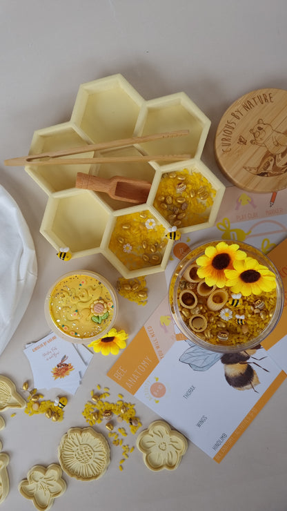 Bee Hive Sensory Base