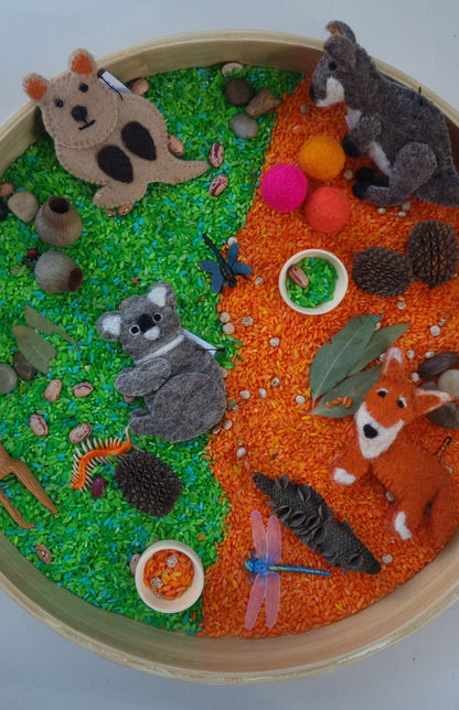 Australian Bush Sensory Kit