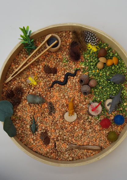 Australian Bush Sensory Kit