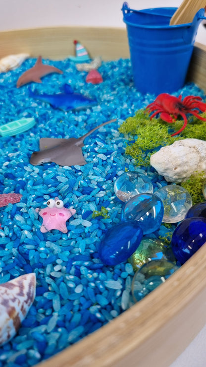 Ocean Sensory Kit