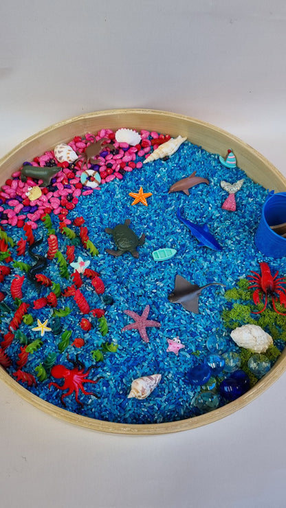 Ocean Sensory Kit